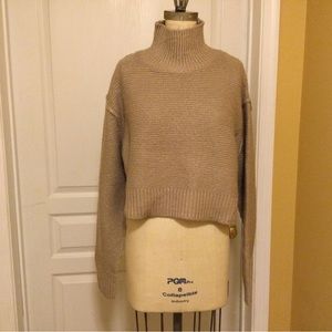 Cropped Turtleneck Sweater
